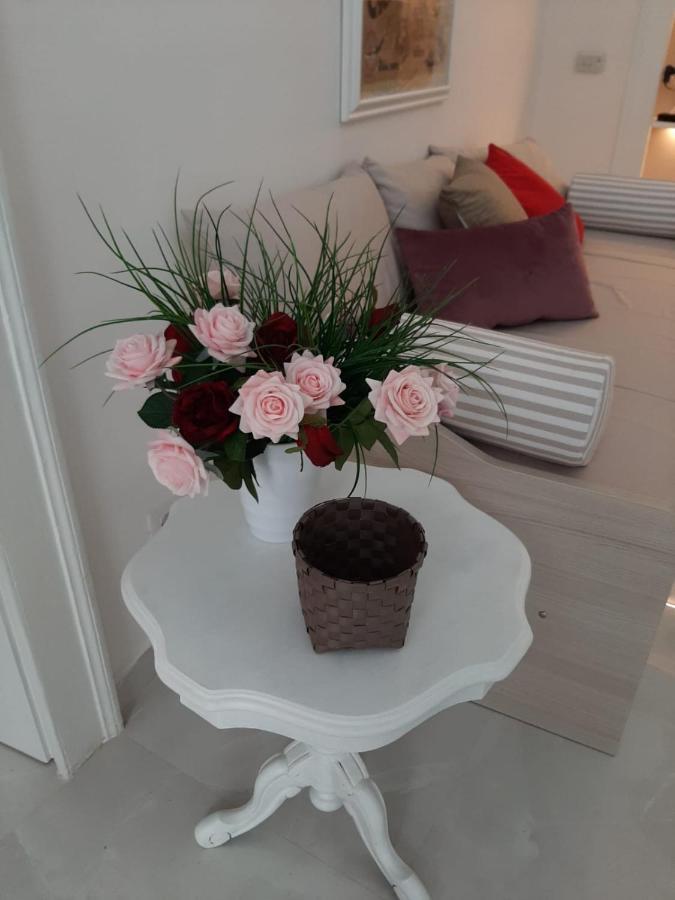 La Vie En Rose - Casa Vacanze Diamante Zewnętrze zdjęcie