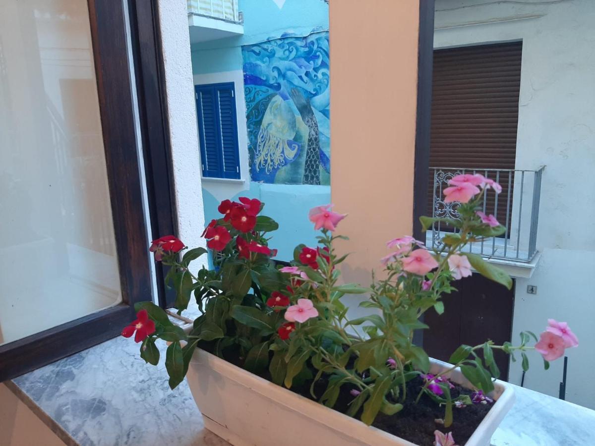 La Vie En Rose - Casa Vacanze Diamante Zewnętrze zdjęcie